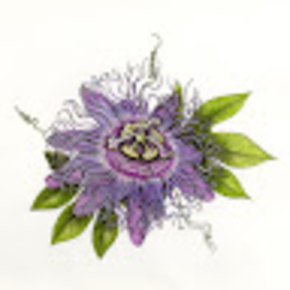 Meet your Posher, Mountain